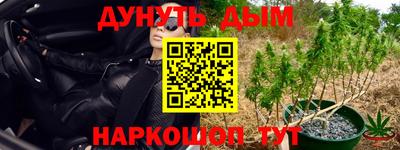крисы Бузулук