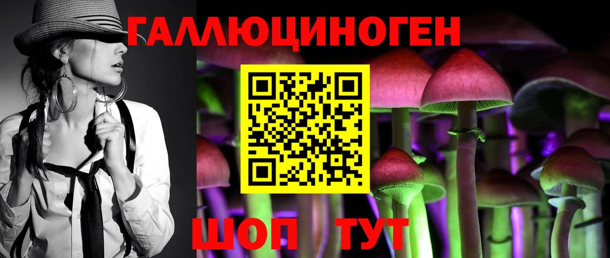 Псилоцибиновые грибы GOLDEN TEACHER  Вход с VPN  Рубцовск  Псилоцибиновые грибы GOLDEN TEACHER 